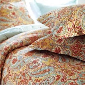 Pottery Barn "Bella Paisley" Pillow Covers/Shams